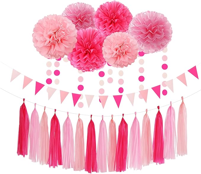 Galentines Valentines Day Hot Pink Party Decorations 23pcs Girl