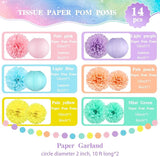 14 Pcs Pastel Party Decorations Kit - Macaron Tissue Paper Pom Poms,