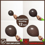 PartyWoo Dark Brown Balloons 100pcs Different Sizes of 18 12 10 5