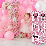 Pink Mouse 1st Birthday Party Supplies Pink Balloon Box with Letters