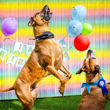 Pastel Rainbow Foil Fringe Curtain Streamers Party Backdrop Foil