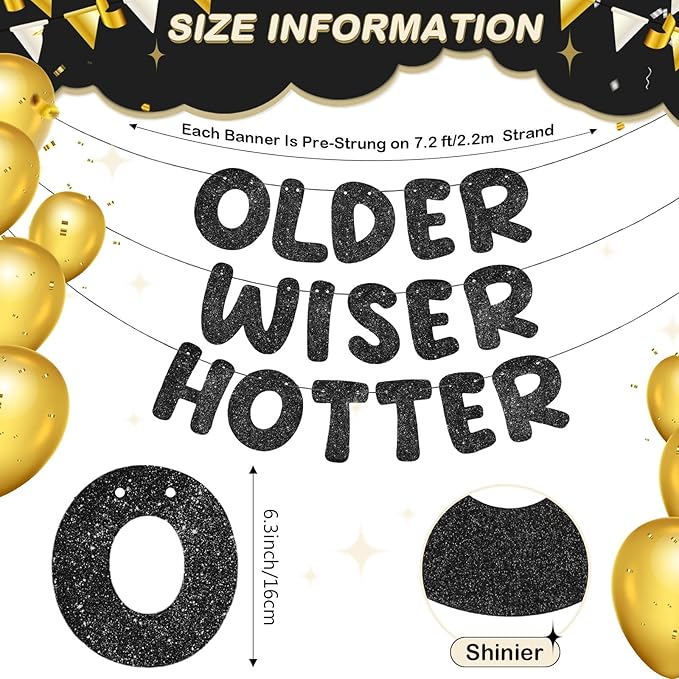 Fulmoon Set of 3 Pre Strung Older Wiser Hotter Glitter Banner Funny Bi