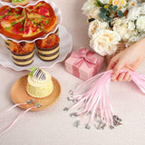 Solsew 20 Pcs Coquette Cake Pulls on Ribbon Decorations Tradition Pink