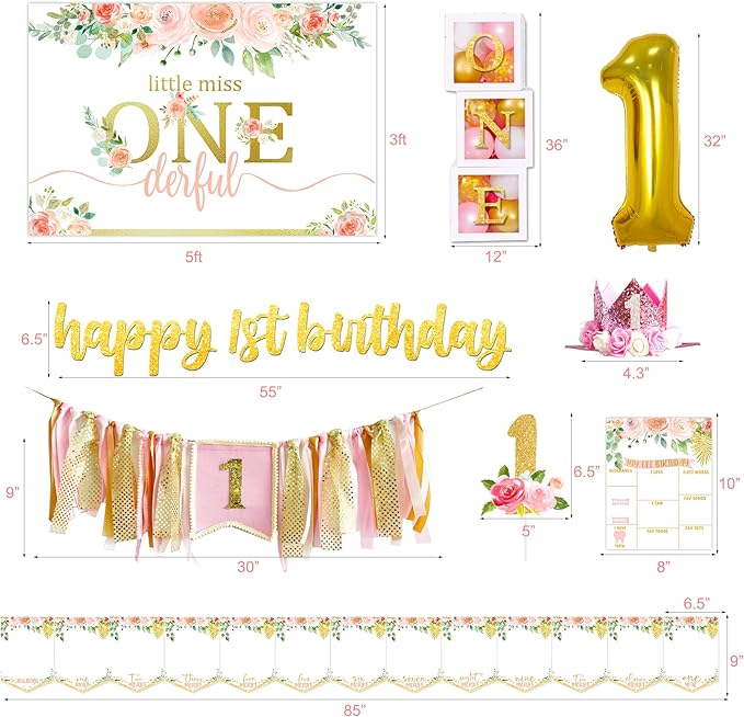Baby Girl 1st Birthday Decorations Balloon Boxes Backdrop High Chair
