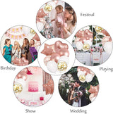 Amandir Rose Gold Birthday Party Decorations Kit, Confetti Foil Rose
