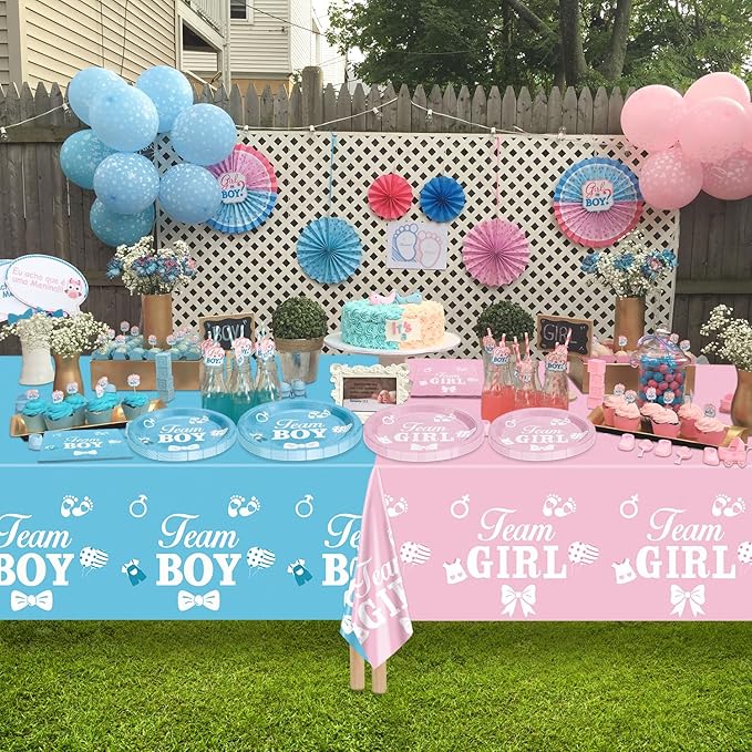 Gender Reveal Decorations Including Boy or Girl Plates Napkins Team