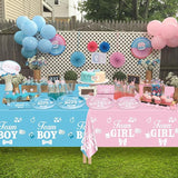 Gender Reveal Decorations Including Boy or Girl Plates Napkins Team