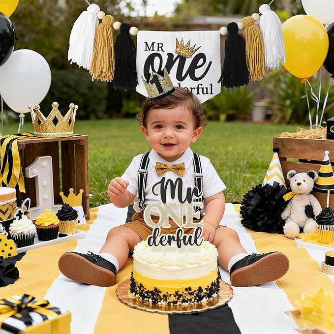 Mr Onederful Baby First Birthday Party Decorations Mr Onederful High