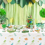 Dinosaur Birthday Party Supplies Dinosaur Baby Shower Decorations