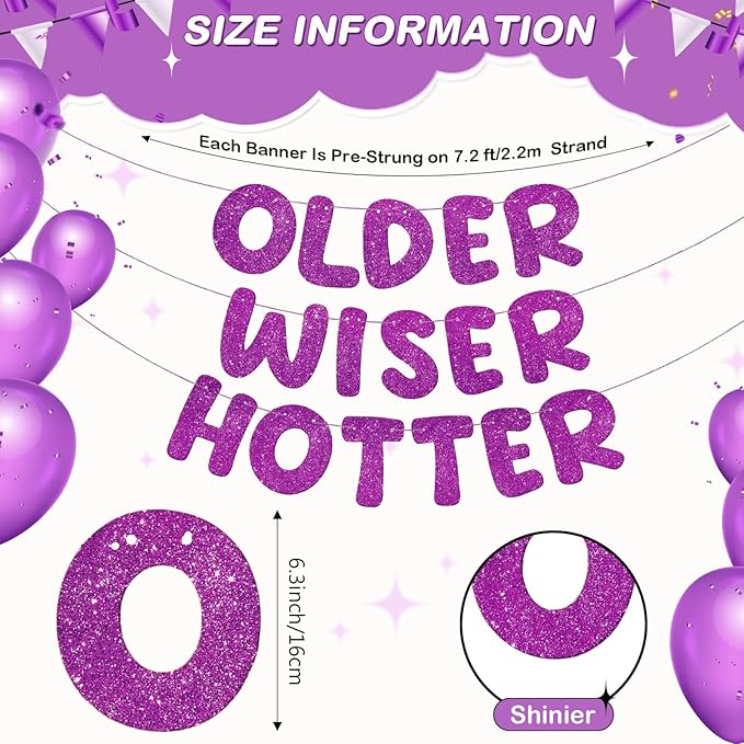 Fulmoon Set of 3 Pre Strung Older Wiser Hotter Glitter Banner Funny #1