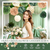 AOBKIAT Wedding Party Decorations Set,12PCS Olive Green Sage Paper