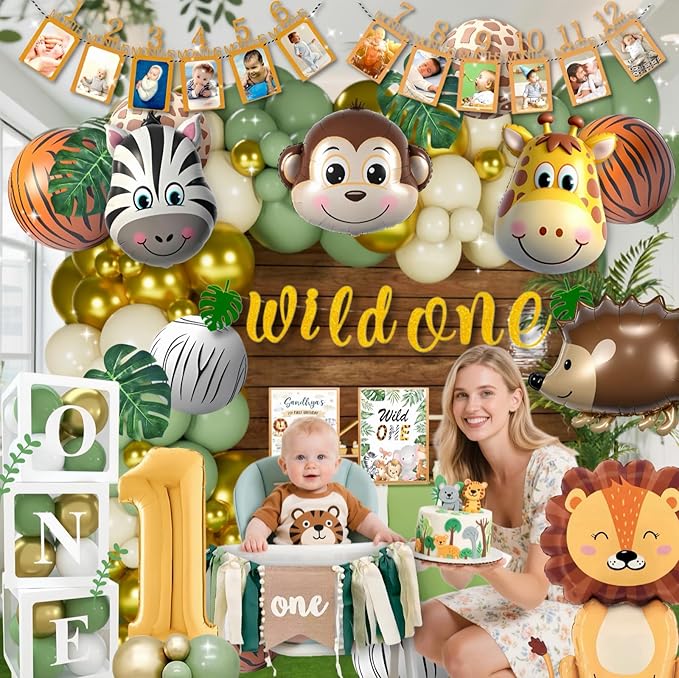 Wild One Birthday Decorations 1st Birthday Decorations for Boy or