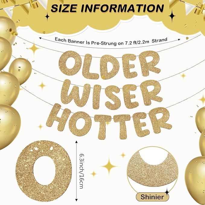 Fulmoon Set of 3 Pre Strung Older Wiser Hotter Glitter Banner Funny #1