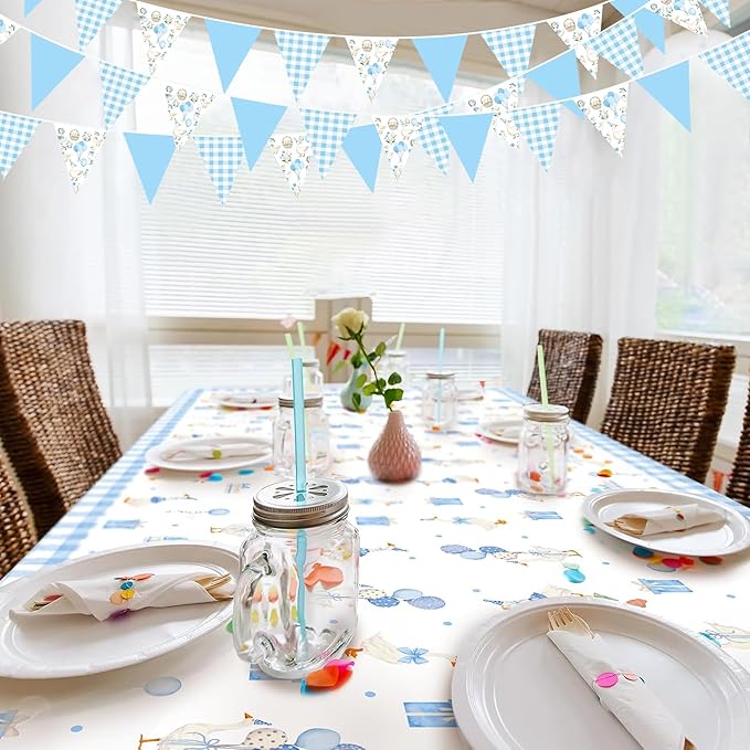 32Ft Goose Party Decorations Blue Gingham Plaid Silly Goose Themed