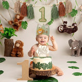 Wild One 1st Highchair Wood Bead Tassel Garland Lion Crown Hat