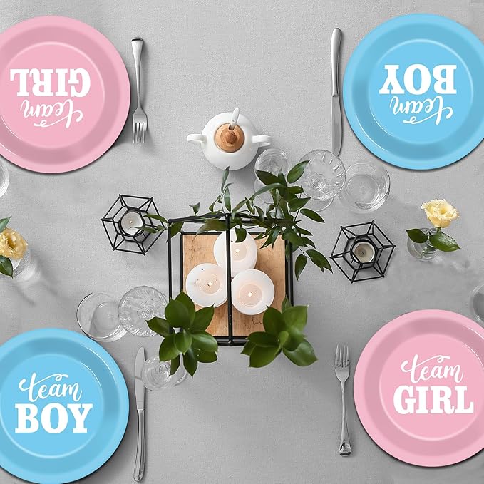 48 Pcs Gender Reveal Plates Party Decorations Pink and Blue plates