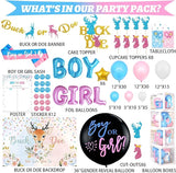 Buck or Doe Gender Reveal Decorations 169 PCs Boy or Girl Gender