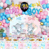 172 PCs Elephant Gender Reveal Decorations Hombae Boy or Girl Gender