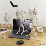 5 PCS Posable Halloween Skeleton Decor 16 Inches Full Body Posable