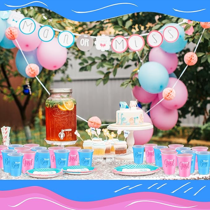 30 Pcs Gender Reveal Plastic Blue Pink Cups Gender Reveal Cups