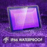 200W 2 Pack LED Black Light Halloween Outdoor Blacklight Flood With