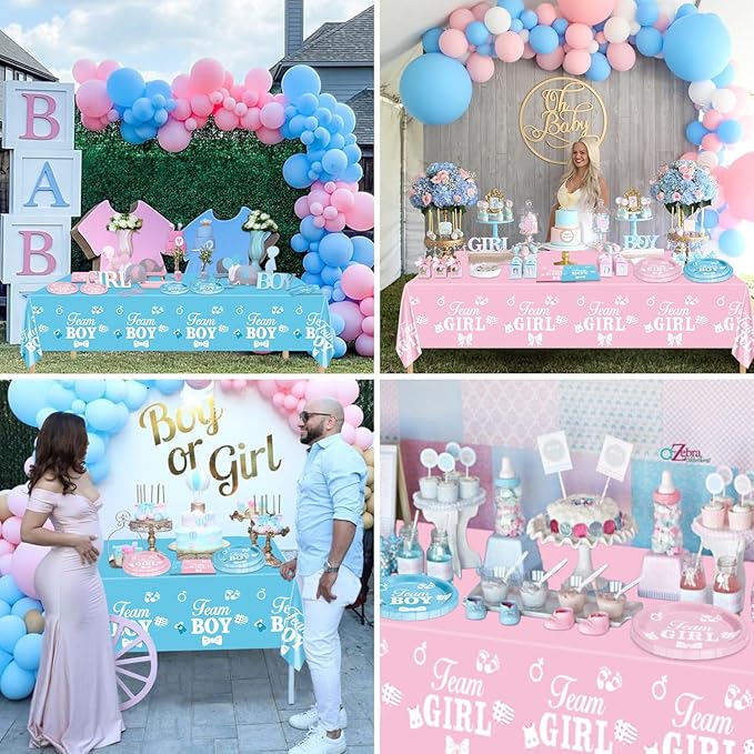 Gender Reveal Decorations Including Boy or Girl Plates Napkins Team