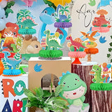 Dinosaur Birthday Party Supplies Kit Dinosaur Themed Table