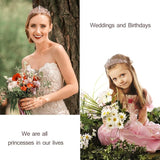 Velscrun Birthday Queen Tiaras Crown for Women, Girls Princess Crowns