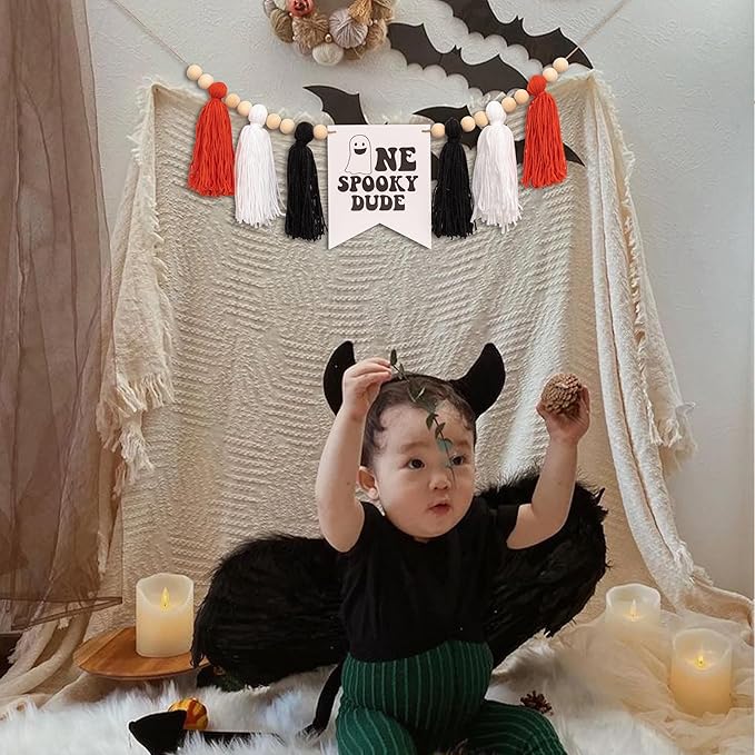 Halloween One Spooky Dude High Chair Banner Little Ghost Baby 1st