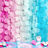 205 Ft Gender Reveal Party Decorations Ombre Pink and Blue Big
