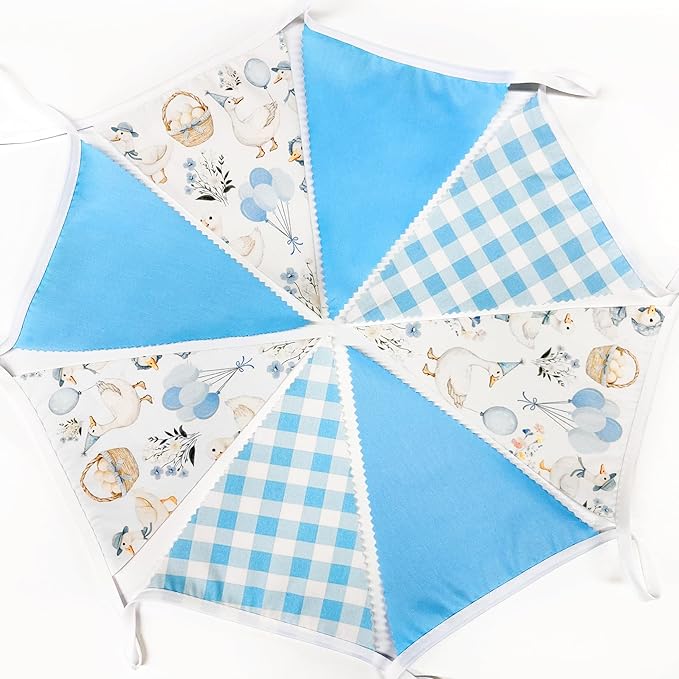 32Ft Goose Party Decorations Blue Gingham Plaid Silly Goose Themed