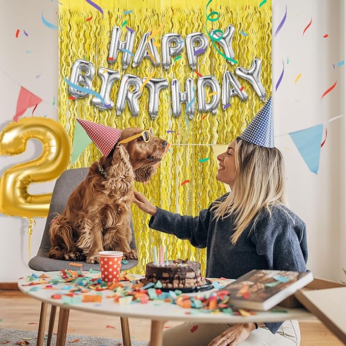 2 Pack Gold Fringe Curtain Backdrop Tinsel Streamers Birthday Party