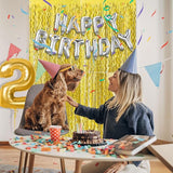 2 Pack Gold Fringe Curtain Backdrop Tinsel Streamers Birthday Party
