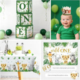 Cocomigo 248pcs Wild One Birthday Decorations for Boy Complete Wild