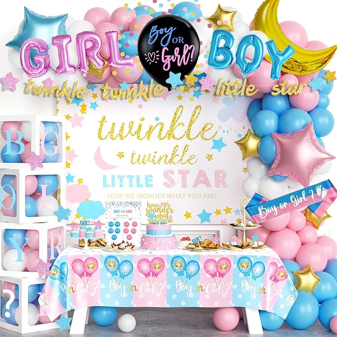 Twinkle Twinkle Little Star Gender Reveal Decorations Star Boy or