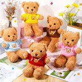 HyDren 5 Pcs Bears Stuffed Animal Soft Plush Toys Valentine 12 Inches