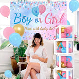 Baby Gender Reveal Party Decorations Pink Blue Balloon Arch Garland