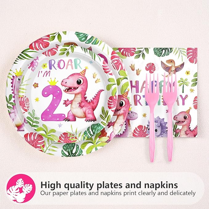 96 Pcs Pink Dinosaur Birthday Decorations for 2nd Girls Two Rex Girl