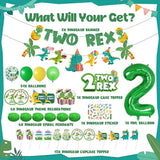 Two Rex Birthday Decorations Dinosaur 2nd Birthday Decorations Boy