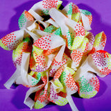 Skylety 32 Pcs Glow in The Dark Party Supplies Neon Party Favors with