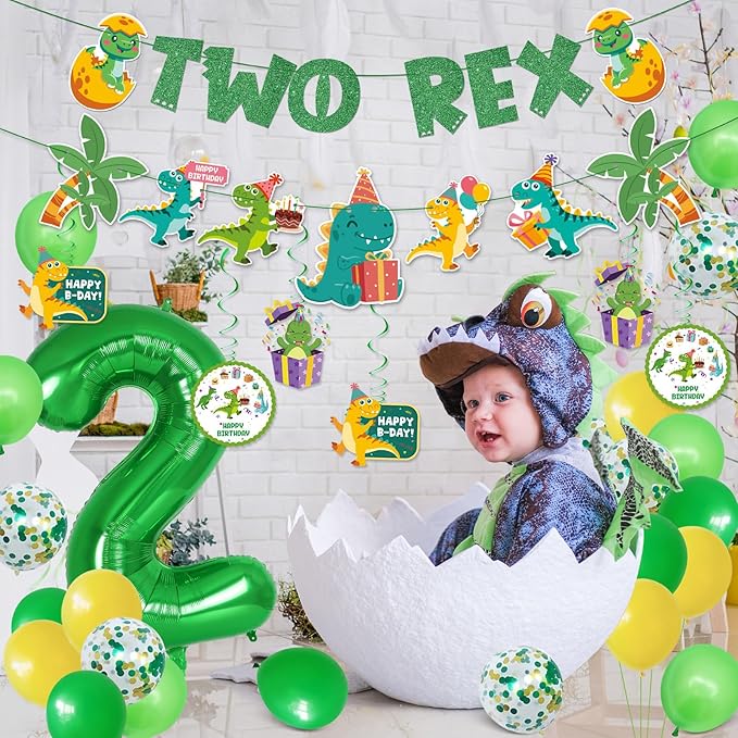 Two Rex Birthday Decorations Dinosaur 2nd Birthday Decorations Boy