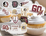 FSU Party Supplies for Football, Birthday Gift, Graduation Party