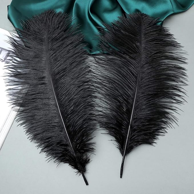 Ballinger Black Large Ostrich Feathers - 24Pcs 12-14inch Large