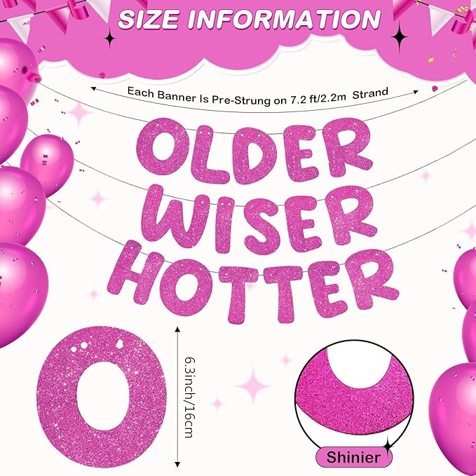 Fulmoon Set of 3 Pre Strung Older Wiser Hotter Glitter Banner Funny #1