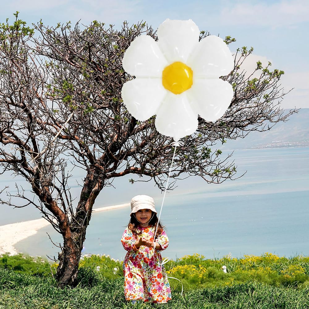 Flotable Daisy Flower Balloon Pastel Macaron Daisies Party Supplies