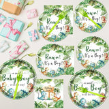 Dinosaur Baby Shower Decorations for Boys 96PCS Rawr Its a Boy Party
