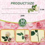 30 PCS Fake Champagne Roses, Artificial Flowers Bulk Realistic Silk