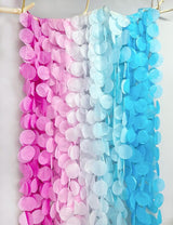 205 Ft Gender Reveal Party Decorations Ombre Pink and Blue Big