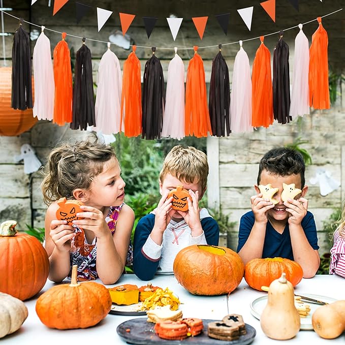 Black White Orange Halloween Party Decorations 23pcs Tissue Pom Poms