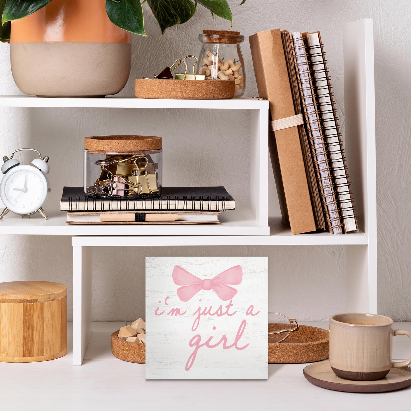 CUANFDDSF Trendy Pink Bow Coquette Room Decor Wooden Box Sign,